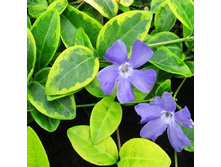 120���. �������� ����� ��� ��� ����.jpg