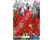 ������ ���.jpg