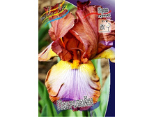 95,3���. ���� ���������� ��������(�������� ���� �� 2 ��., ����������� ����� 1��.).jpg