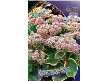 193,3���. ������ ������� ���(�������� ���� �� 1 ��., ����������� ����� 1��.).jpg