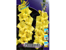 8,18���. ��������� ������(���������� ������ ������ ���������� �� 8 ��.).jpg