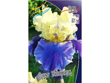 95,3���. ���� ���������� ���� �������(�������� ���� �� 2 ��., ����������� ����� 1��.).jpg