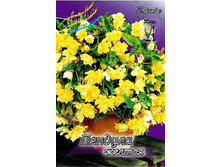 45,86���. ������� ������� ������(�������� ���� �� 5 ��., ����������� ����� 1��.).jpg