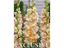 9,83���. ��������� ����(���������� ������ ������ ���������� �� 8 ��.)���16.jpg