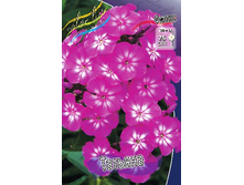 79,37���. ����� �������(�������� ���� �� 3 ��., ����������� ����� 1��.).jpg