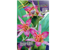 229,8���. ��������� ���� ���(�������� ���� �� 1 ��., ����������� ����� 1��.).jpg