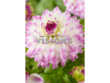 96,8���. �������� ����� ��� ���(�������� ���� �� 1 ��., ����������� ����� 1��.)���16.jpg