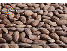 ������� �������� <<���������>>