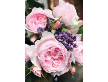 ������������ 220���. (����� �������� ��� 20��.).jpg