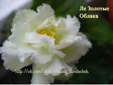 �� ������� ������