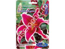 �������� ��������.jpg