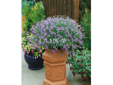 ������� ������� ���������-������� 5�� 13,2.jpg