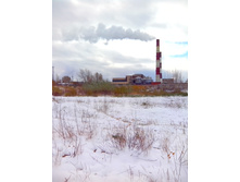 IMG 20151011 101253.jpg