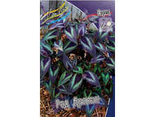 143,5���. ����� ��� ������(�������� ���� �� 1 ��., ����������� ����� 1��.).jpg