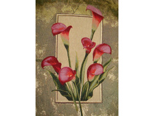 ������ ����� - ����������� �����.jpg