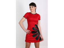 ������ Camomile (�������) 1120.jpg