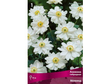 ������� ��������� �������.jpg