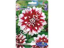 ������� ���.jpg