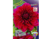 80,2���. �������� ����� �.������(�������� ���� �� 1 ��., ����������� ����� 1��.).jpg