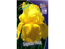 95,3���. ���� ���������� ������ ����(�������� ���� �� 2 ��., ����������� ����� 1��.).jpg