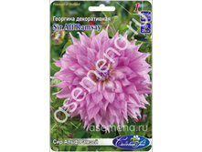 ��� ���� ������.jpg