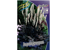 223,1���. �������� ������������(�������� ���� �� 1 ��., ����������� ����� 1��.).jpg