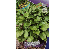 126,9���. ����� ��������(�������� ���� �� 1 ��., ����������� ����� 1��.).jpg