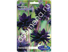 ������ ����.jpg