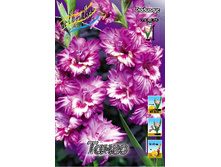 8,18���. ��������� �����(���������� ������ ������ ���������� �� 8 ��.).jpg