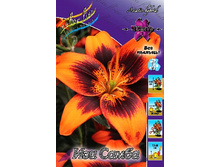 37,4���. ����� ��� �����(�������� ���� �� 5 ��., ����������� ����� 1��.).jpg