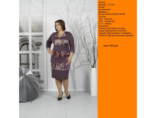 171123-1 ����������.JPG