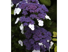 170���. ��������� �������� ����������.jpg