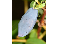 192���. ��������� ���������� ����� ���16.jpg