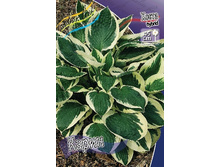 126,9���. ����� �����(�������� ���� �� 1 ��., ����������� ����� 1��.).jpg