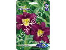 ����� ������.jpg