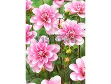 80,2���. �������� ���� ��������(�������� ���� �� 1 ��., ����������� ����� 1��.)���16.jpg