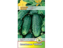 ������ �����  ������ 	0,3	6,00 ���.