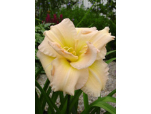 180���. �������� ����� �������(�������� ���� �� 1 ��., ����������� ����� 1��.).jpg