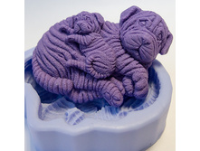 ������ ���. 60 ��