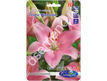 ������ �������.jpg