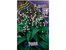 107���. ������ �����(�������� ���� �� 1 ��., ����������� ����� 1��.).jpg