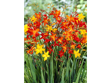 8,13���. ��������� �����(���������� ������ ������ ���������� �� 10 ��.).jpg