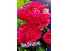 196,6���. ���� ��� ��������(�������� ���� �� 1 ��., ����������� ����� 1��.).jpg