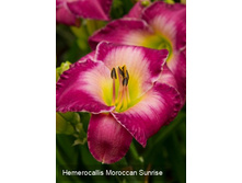 163,4���. �������� �������� �������(�������� ���� �� 1 ��., ����������� ����� 1��.).jpg