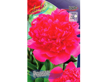 196,6���. ���� ������(�������� ���� �� 1 ��., ����������� ����� 1��.).jpg