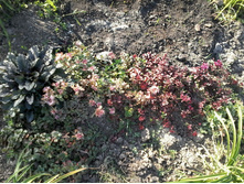 ����� (������) �������)