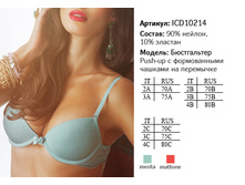 ICD10214 enl.jpg