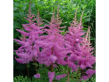 �������� ������� �������.jpg