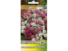 ������� ������ ������ ���� 	0,1	6,00 ���.