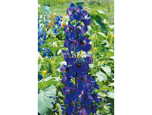 ���������� ������ ������ 0,05�� 9.jpg